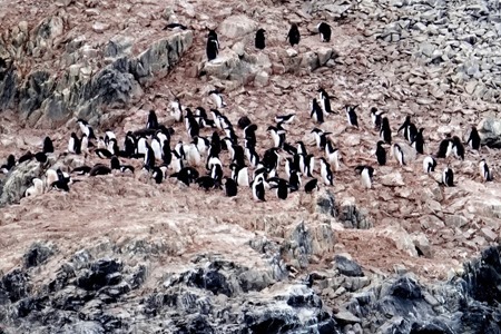 96. Antarctica (Day 3)