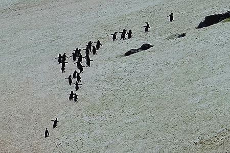 98. Antarctica (Day 3)