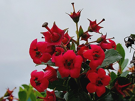 116. Stanley, Falkland Islands