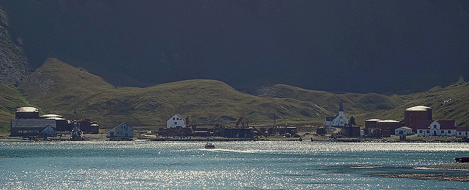 229. Grytviken, S Georgia Island