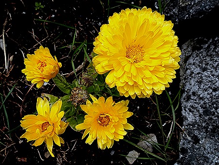 44. Stanley, Falkland Islands