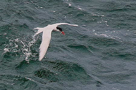 8. Stanley, Falkland Islands