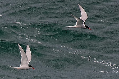 9. Stanley, Falkland Islands