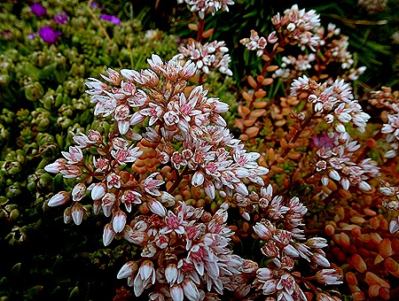 92. Stanley, Falkland Islands