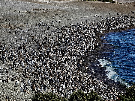 100. Puerto Madryn