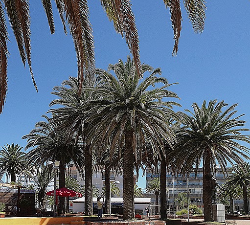 100. Punta del Este, Uruguay_ShiftN