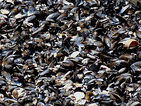 110. Punta del Este, Uruguay