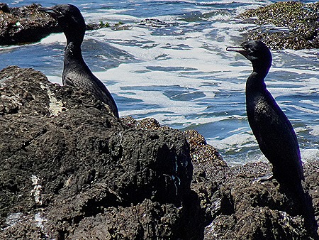 114. Punta del Este, Uruguay