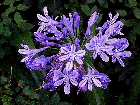 115 .Buenos Aires, Argentina (Day 1)