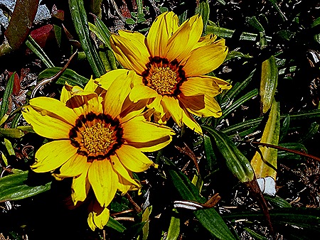 126. Punta del Este, Uruguay