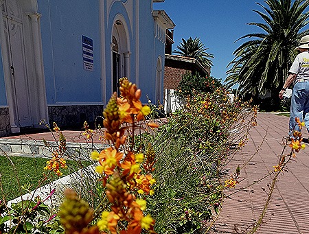 129. Punta del Este, Uruguay
