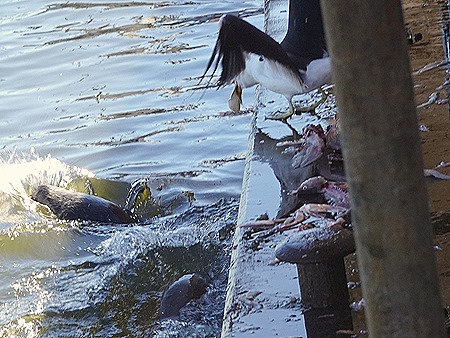 13. Punta del Este, Uruguay