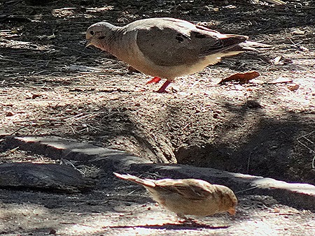 14. Montevideo, Uruguay