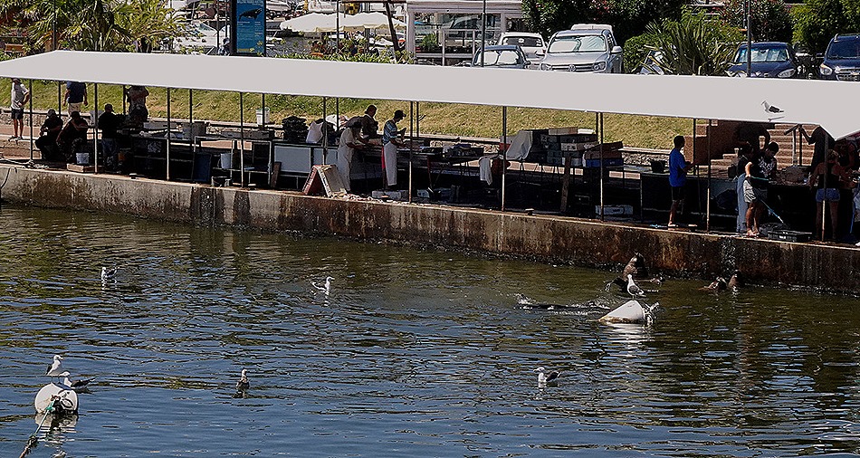 150. Punta del Este, Uruguay