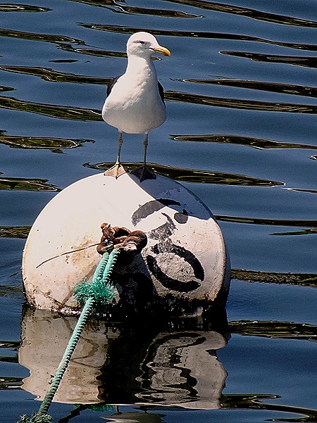 152. Punta del Este, Uruguay
