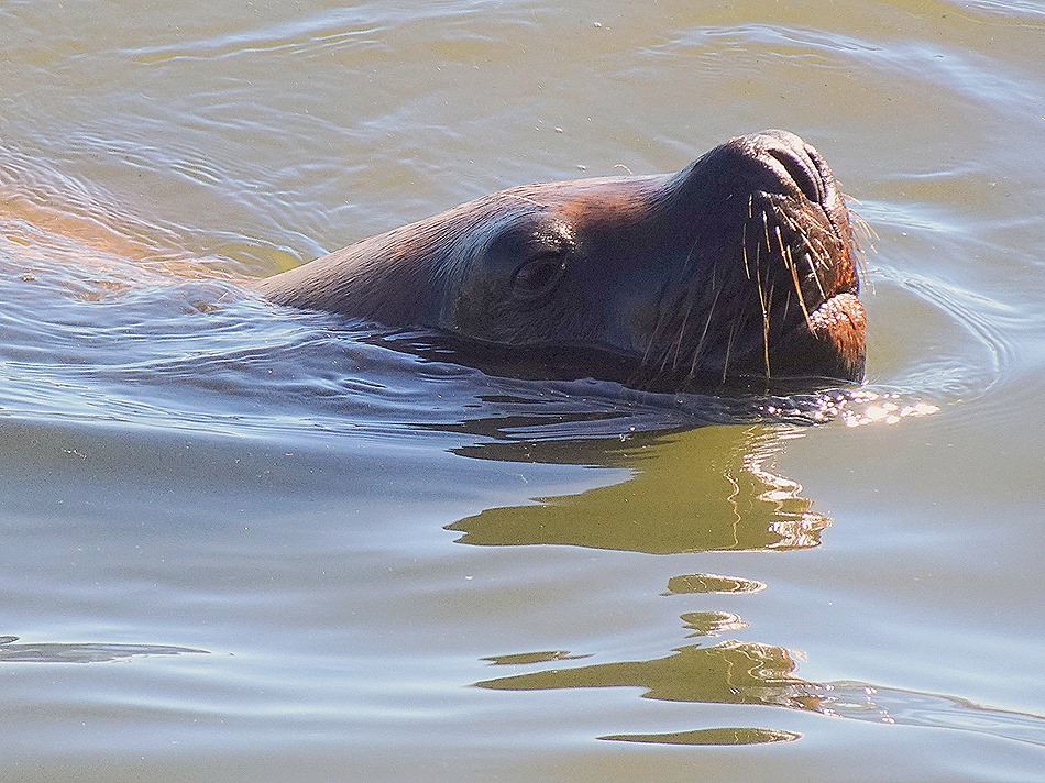 17. Punta del Este, Uruguay