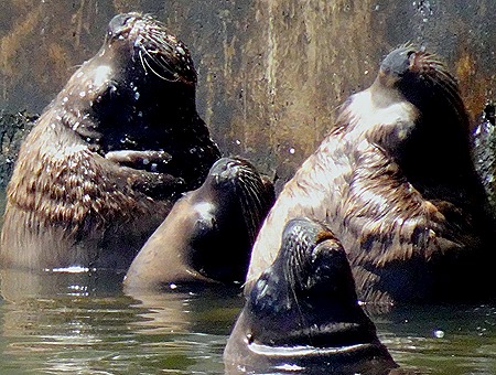 173. Punta del Este, Uruguay
