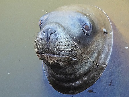 18. Punta del Este, Uruguay