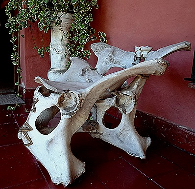 20 .Buenos Aires, Argentina (Day 1)