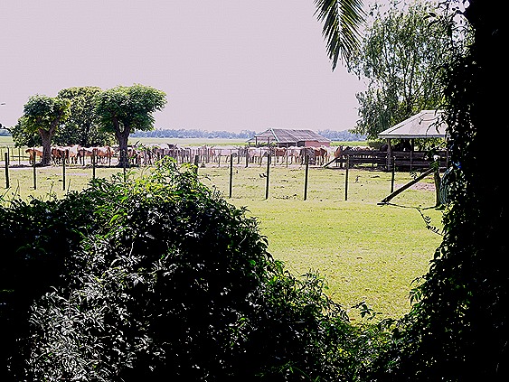 23 .Buenos Aires, Argentina (Day 1)