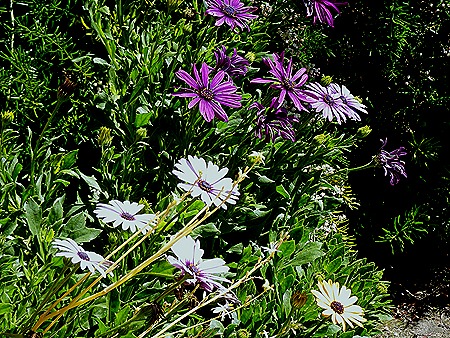 24 .Buenos Aires, Argentina (Day 1)