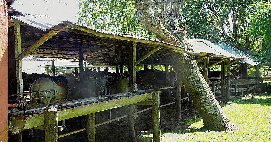 26a .Buenos Aires, Argentina (Day 1)_stitch