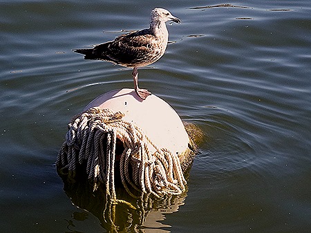 27. Punta del Este, Uruguay