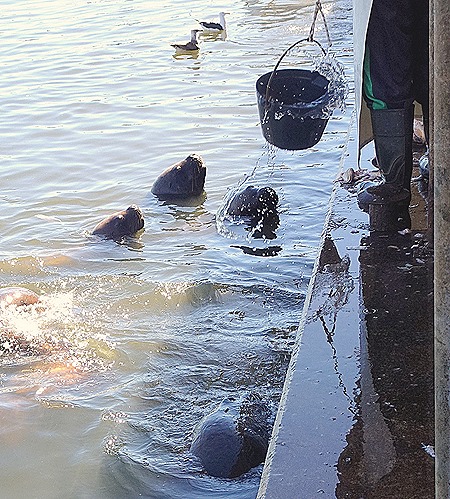 29. Punta del Este, Uruguay