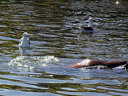 3. Punta del Este, Uruguay