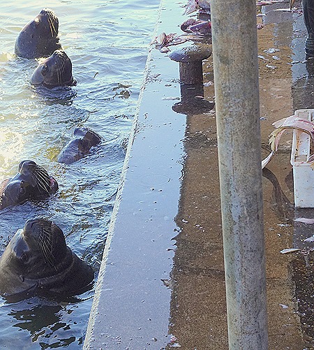 30. Punta del Este, Uruguay