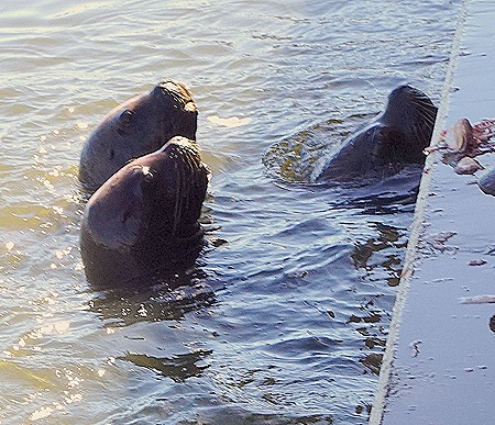 31. Punta del Este, Uruguay
