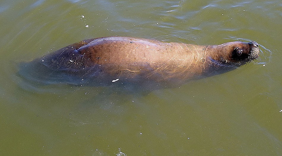 32. Punta del Este, Uruguay