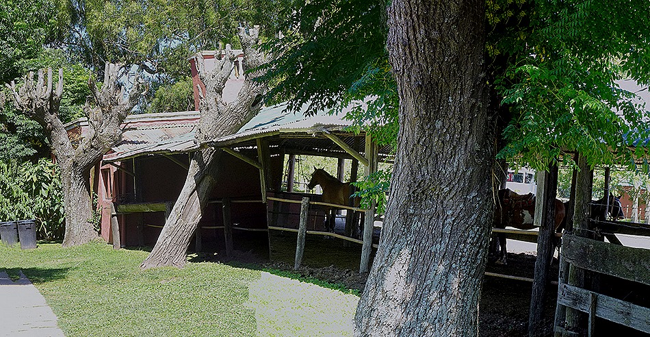 34a .Buenos Aires, Argentina (Day 1)_stitch