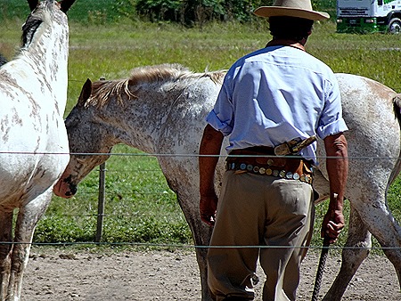 36 .Buenos Aires, Argentina (Day 1)