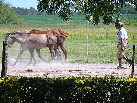 37 .Buenos Aires, Argentina (Day 1)