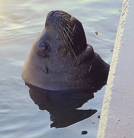 37. Punta del Este, Uruguay