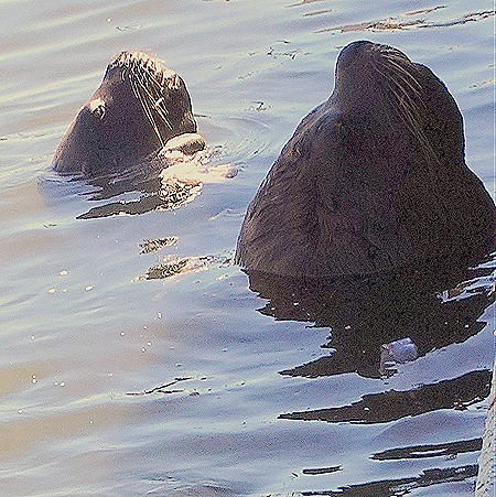 38. Punta del Este, Uruguay