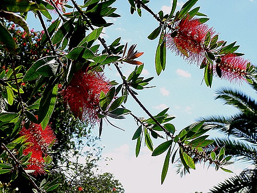 4 .Buenos Aires, Argentina (Day 1)