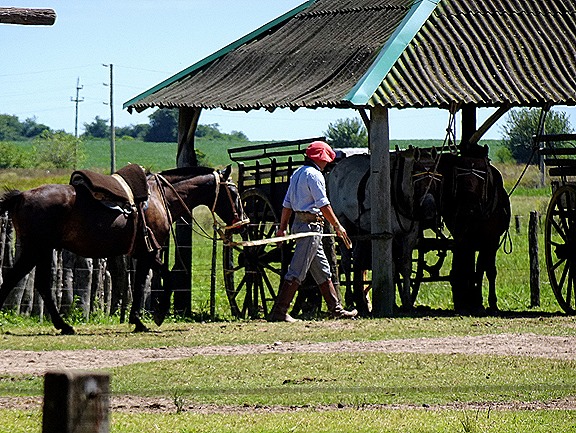 41 .Buenos Aires, Argentina (Day 1)