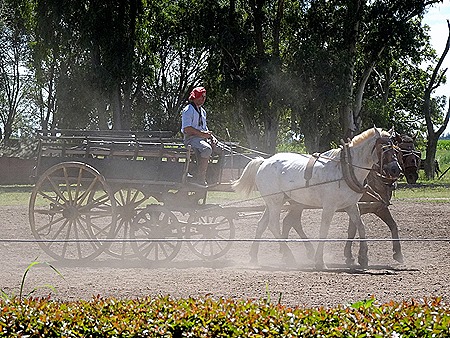 43 .Buenos Aires, Argentina (Day 1)
