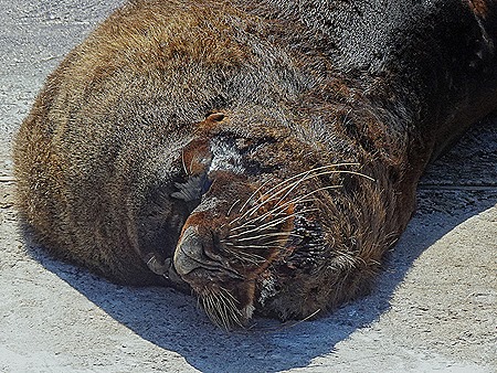 44. Punta del Este, Uruguay
