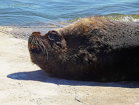 45. Punta del Este, Uruguay