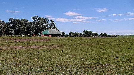 48 .Buenos Aires, Argentina (Day 1)