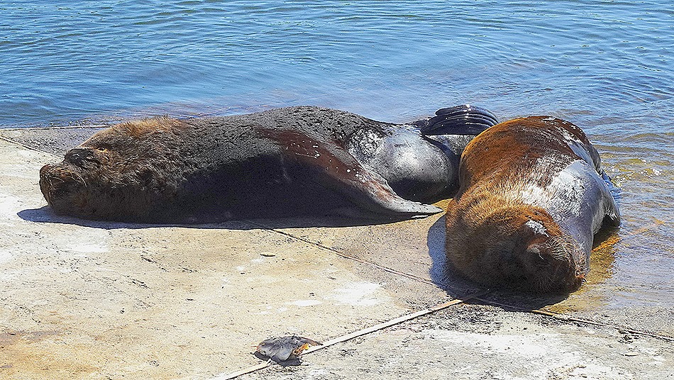 49. Punta del Este, Uruguay