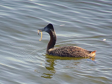 53. Punta del Este, Uruguay