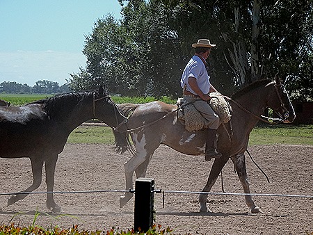 56 .Buenos Aires, Argentina (Day 1)