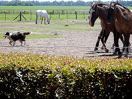 60 .Buenos Aires, Argentina (Day 1)