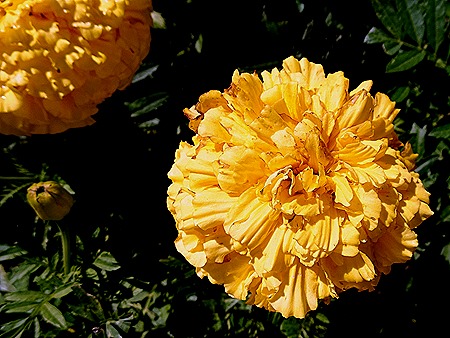 61. Punta del Este, Uruguay