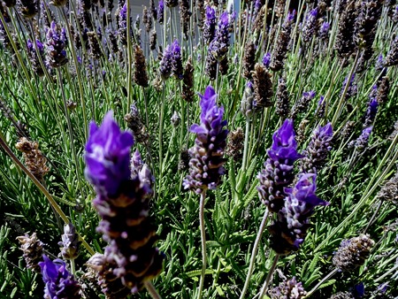 62. Punta del Este, Uruguay