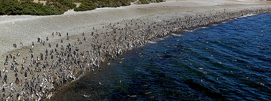 65a. Puerto Madryn_stitch